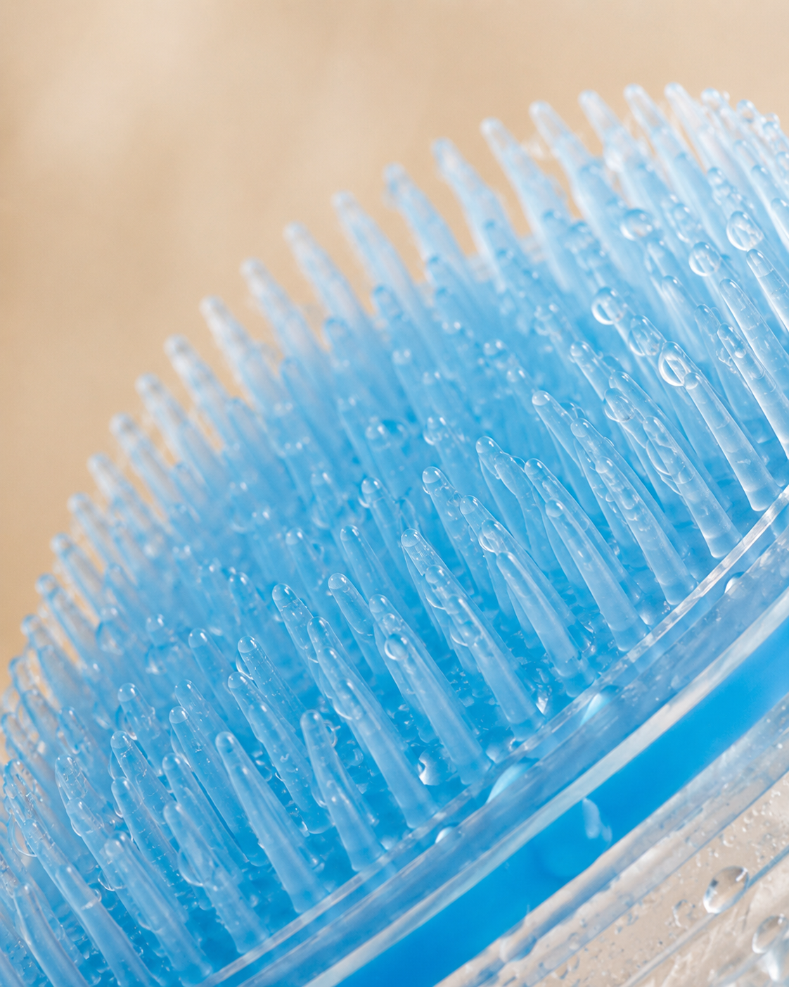 Scalp brush